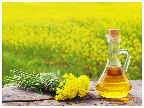 Mustard Oil